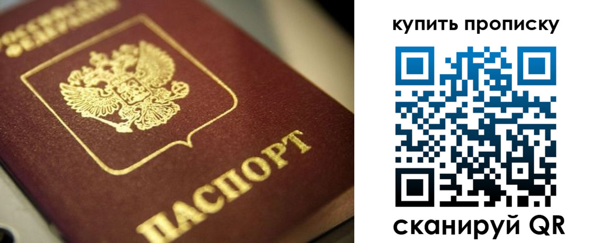 прописка поиск в Цимлянске